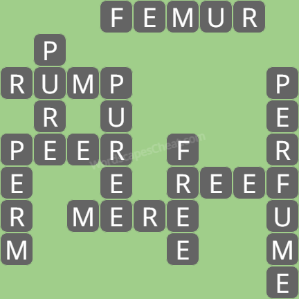 Wordscapes level 3954 answers