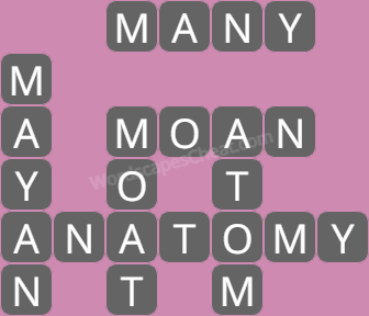 Wordscapes level 6529 answers