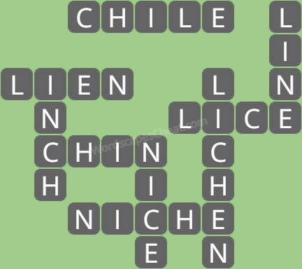 Wordscapes level 7364 answers