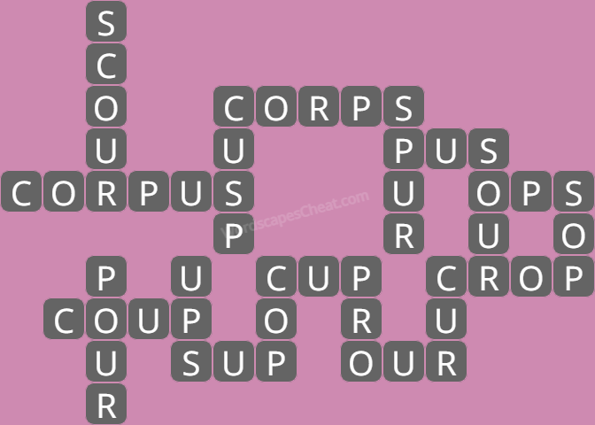 Wordscapes level 7869 answers