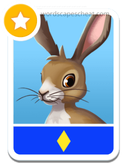 Savannah Hare