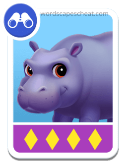 Hippo