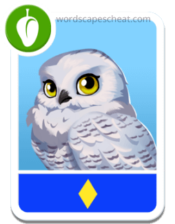 Snowy Owl